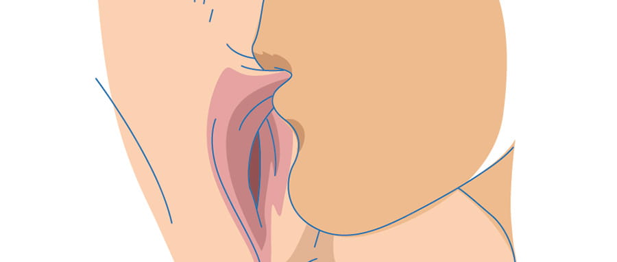 Beftechniek The Suck