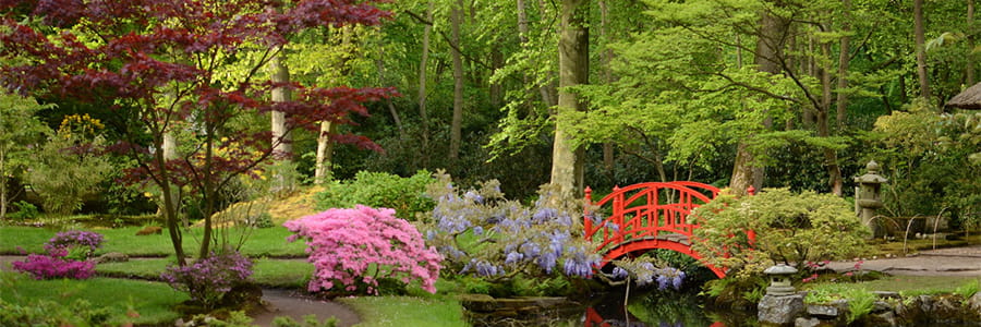 Date Idee Japanse Tuin